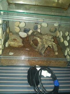 Террариум коврик для подогрева