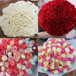 101роза букеты цветы опт 51,71,251роза доставка