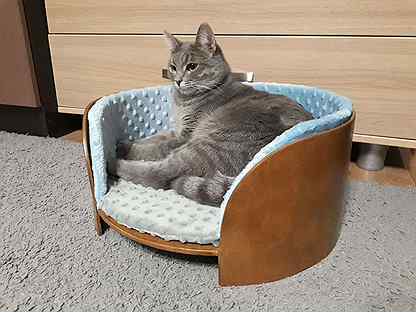 Электронный ошейник для коровы купить. Аксессуары для животных в зоомагазине. Авито димитровград животные. Магазин товаров для животных. Подиумы ваз 2110 20 20 20.