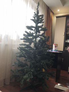 Ель