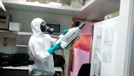 Уничтожение клопов, тараканов, блох, грызунов