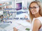 Программист, web-мастер (PHP,JS,mysql,CSS,html)