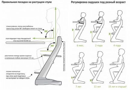Растущий стул