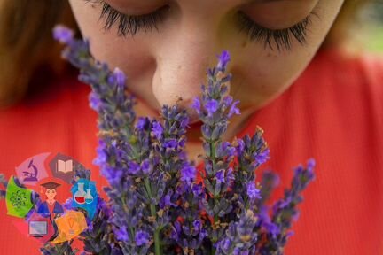 Юлия Simply4joy - Методичка Домашняя аптечка