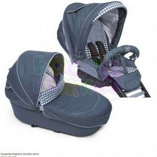 Коляска teutonia be you v2 2в1