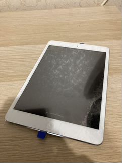 iPad mini lte