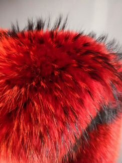 Енот финский крашеный