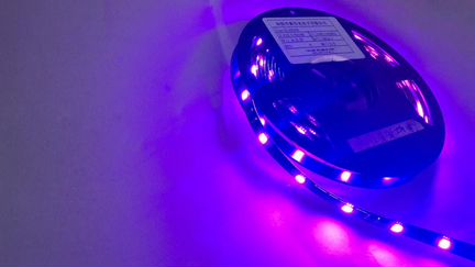 Светодиодная лента 3528 5050 IP 65 5 метров