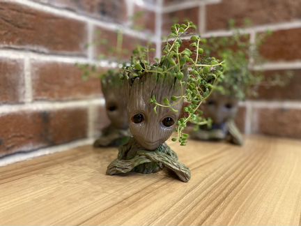 Цветок в красивом оформлении (оригинальный подарок