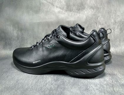 Ecco biom